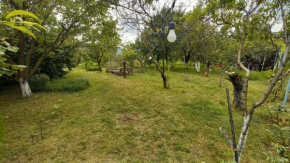 Natakhtari Camping